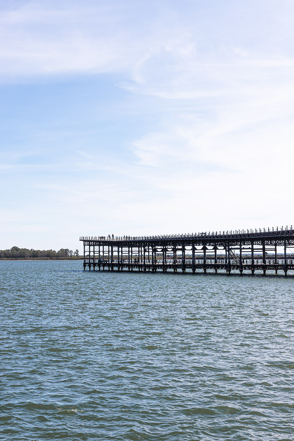 Muelle-del-Tinto-Huelva-2