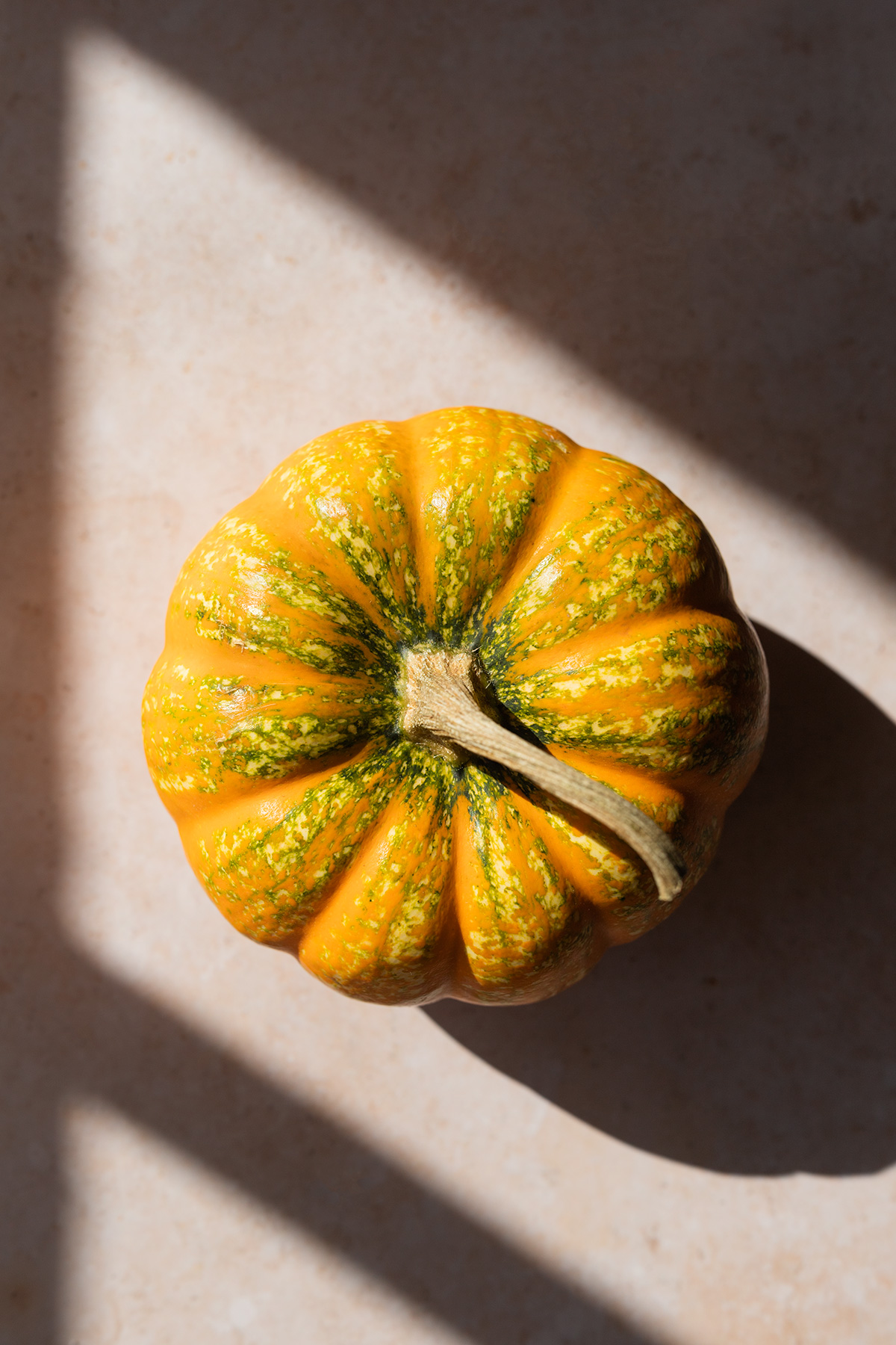 Calabaza-con-luz-y-sombras